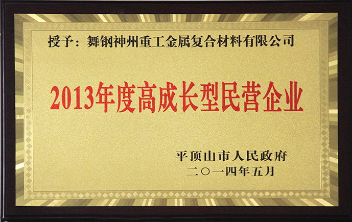 2013年度高成長型民營企業(yè)